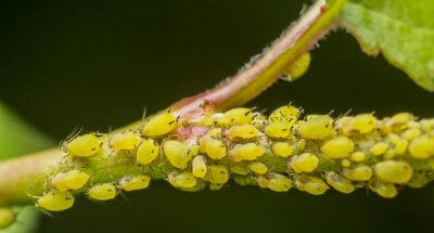 a38fb8295a99c367e6bb082d859ebe32