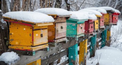 beautiful-bee-farm_23-2151441152