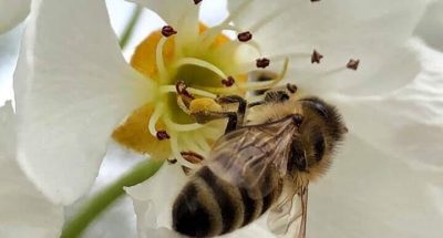 339993608_1778972475852025_6296139422320150626_n