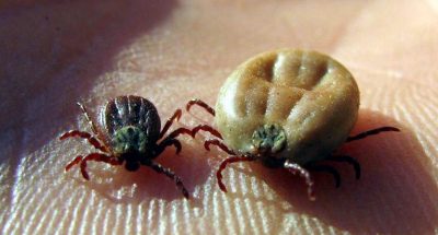 3bb289f72e131b58b3621f50492c9e6c_crop