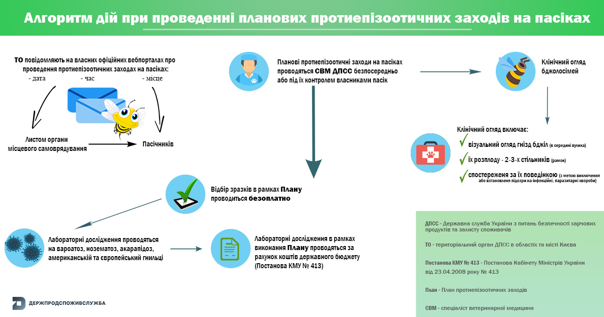 Бджілки копія