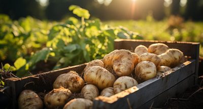 freshness-nature-harvest-outdoors-summer-meadow-generated-by-artificial-intelligence_25030-67686