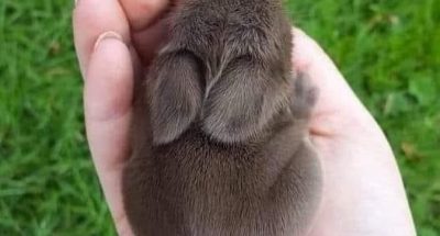 photo_2025-03-21_14-07-37