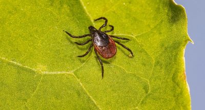 238138ac6495b5d07b689d4dd93dd1ac