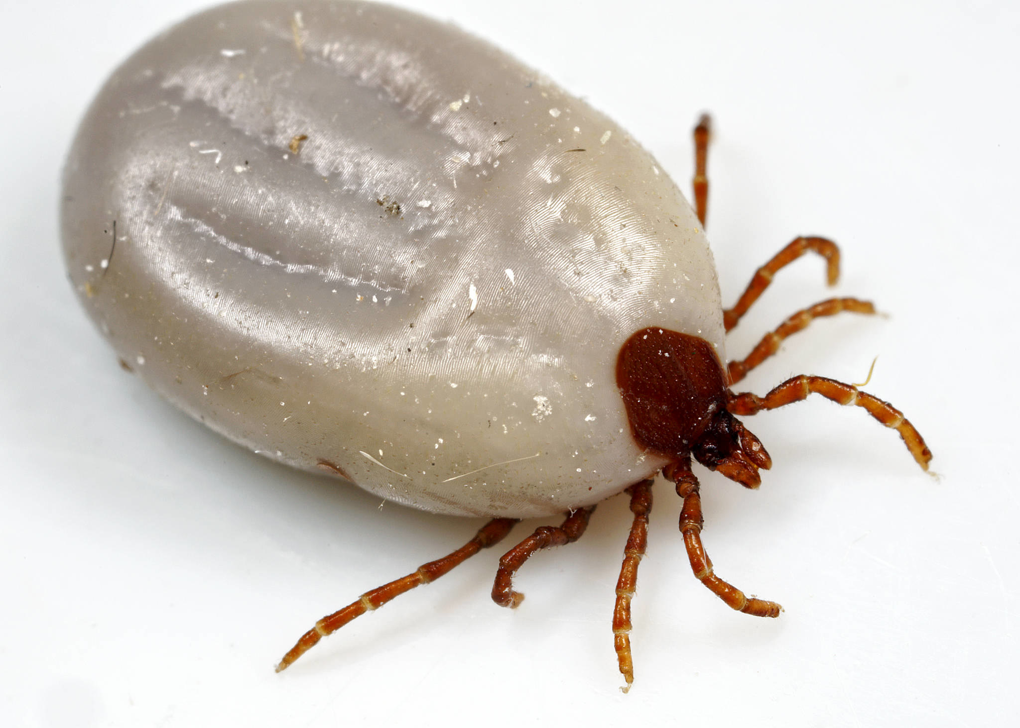 50064527123_354c0897c4_k