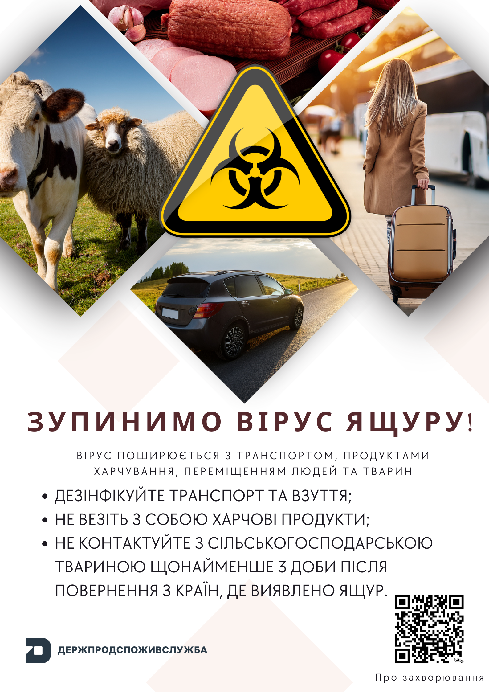 6807a0726f36b267315397