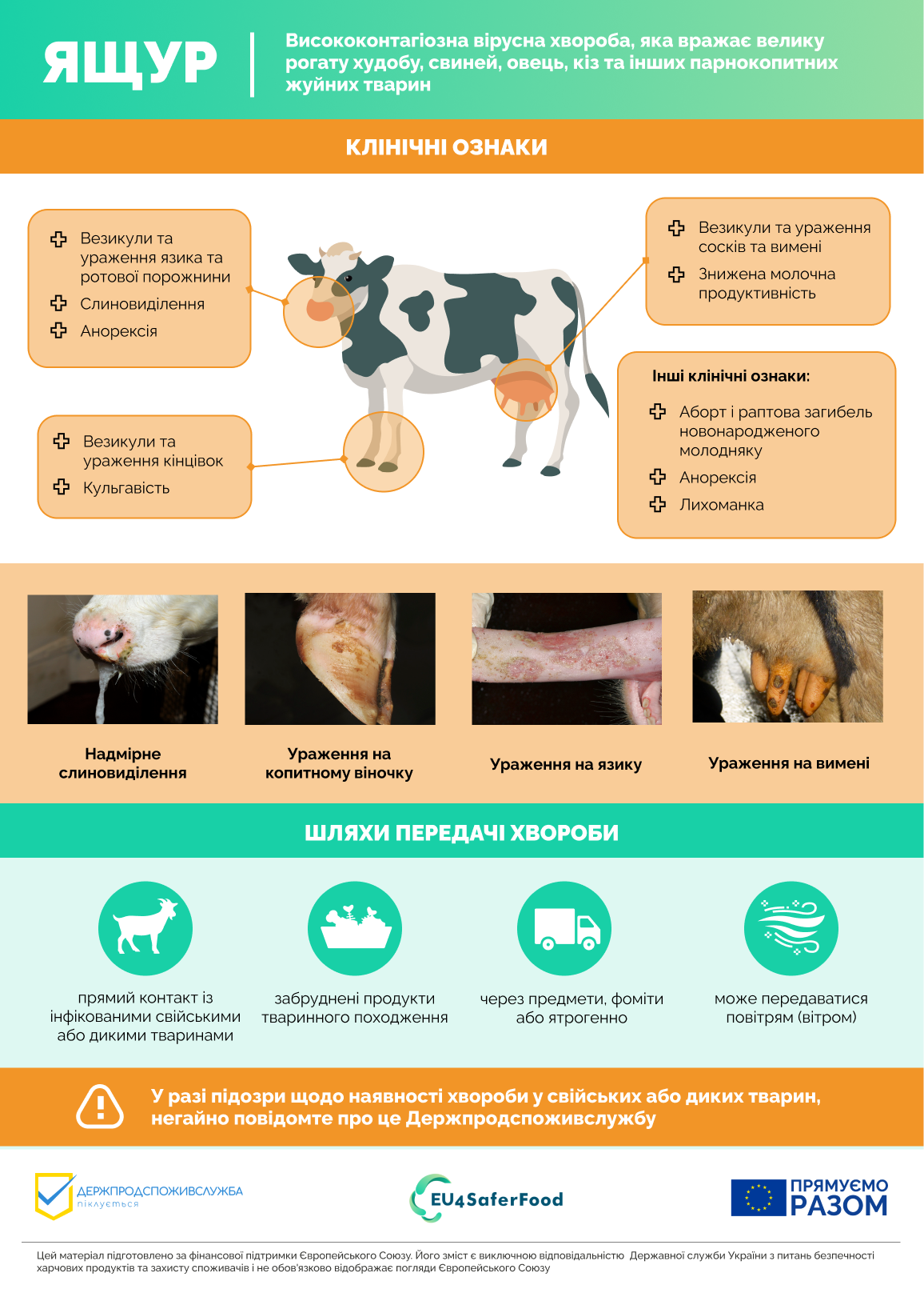 Ящур_Ветеринари_Final