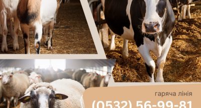 photo_2025-04-18_10-15-14