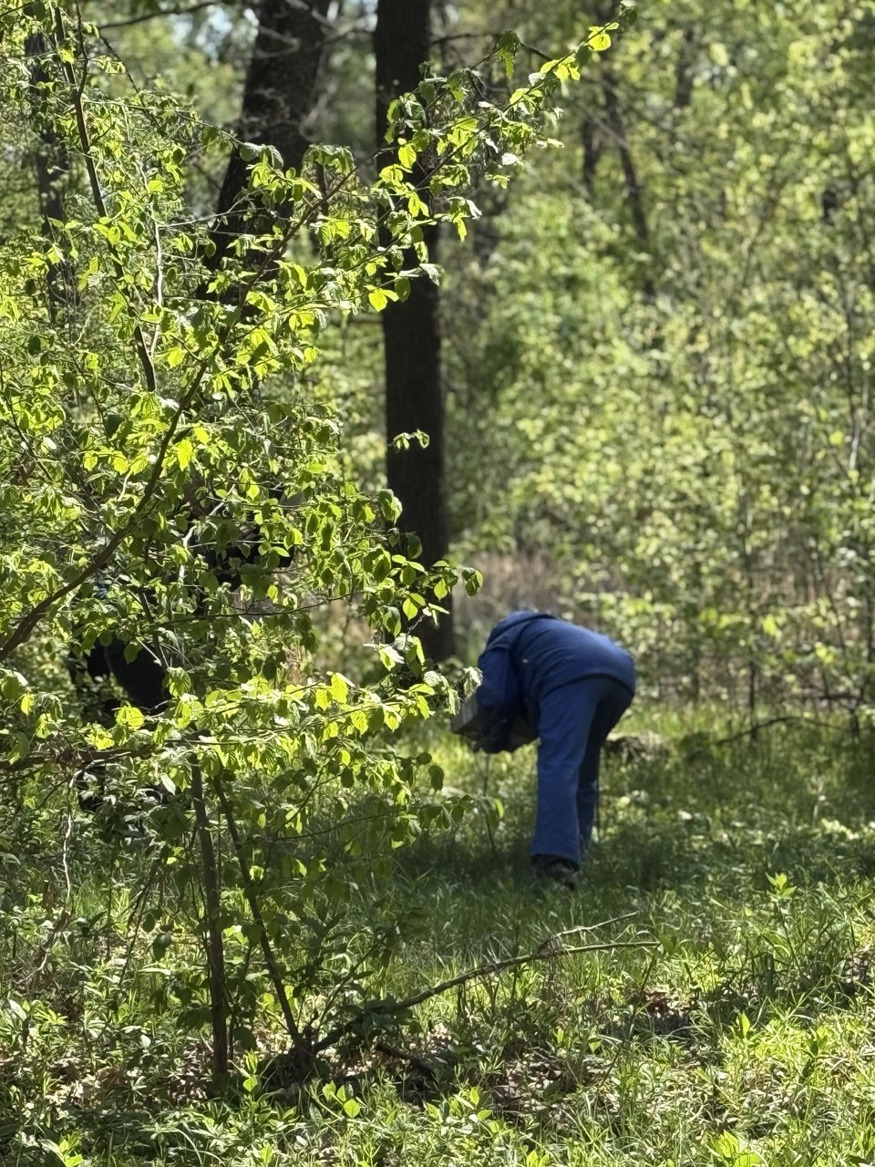 photo_2025-04-29_11-53-12 (9)