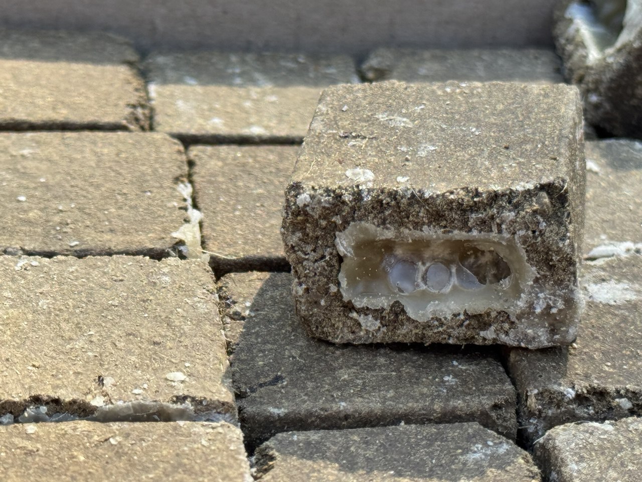 photo_2025-04-29_11-54-31