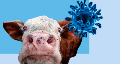 znimok-ekrana-yaschur_0