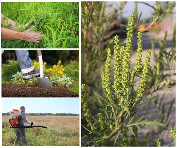 486078374_990268229954515_4149564617444769258_n