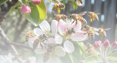 6819ff3ac3101945372037