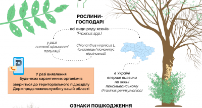 681da9beb678d821499211