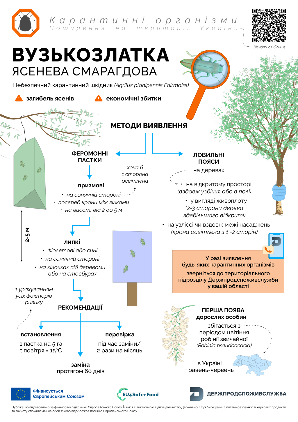 681dab01d4fa0049617091