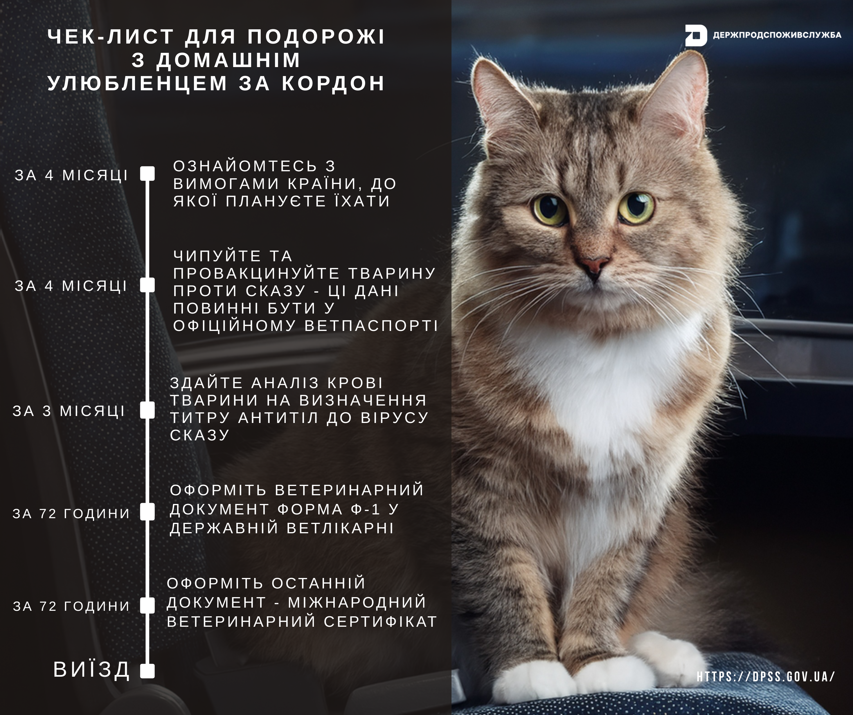 6835911a79719978052774