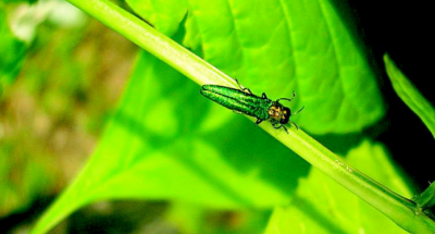 c150b0312ed1685548596f8b13c9323c