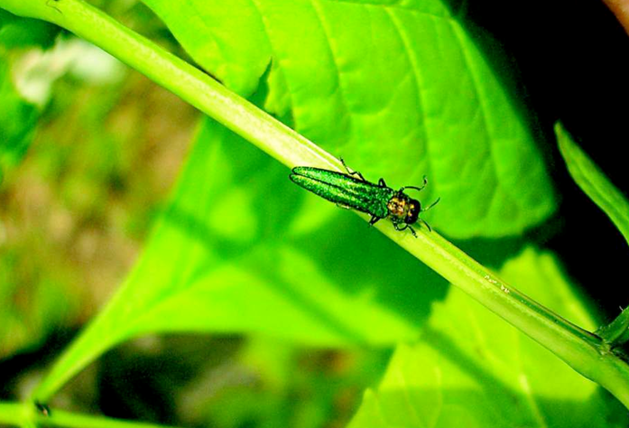 c150b0312ed1685548596f8b13c9323c