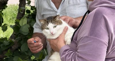 photo_2025-05-26_15-01-06