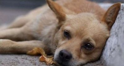 4m1bFQR3PPaHJxLpKsyx.w575