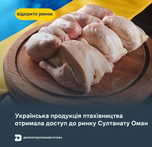 510805238_2457942974570478_4872817209055441762_n