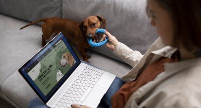 close-up-beautiful-dachshund-dog-with-chewing-toy