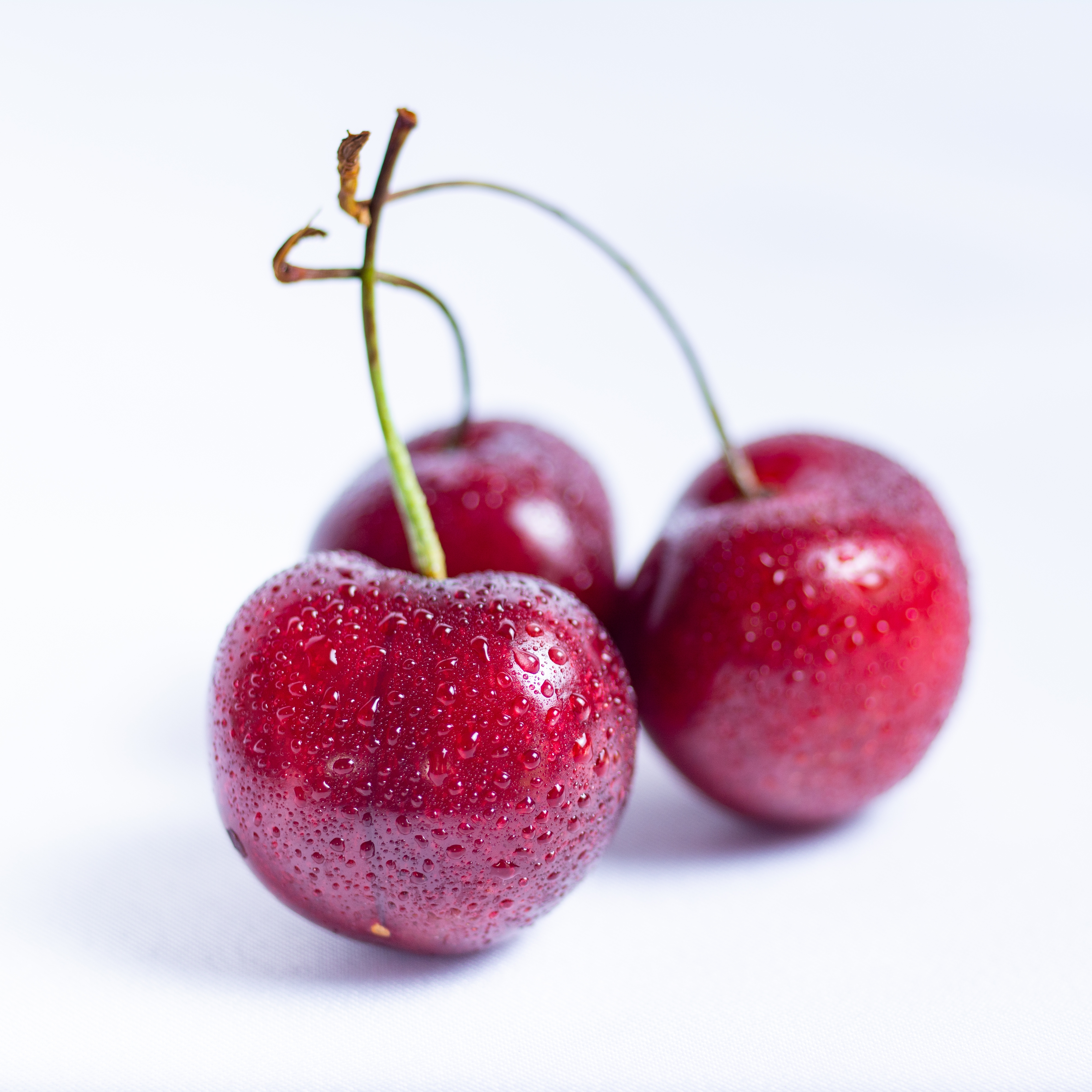 A closeup shot of the red and juicy cherries isolated on a white background