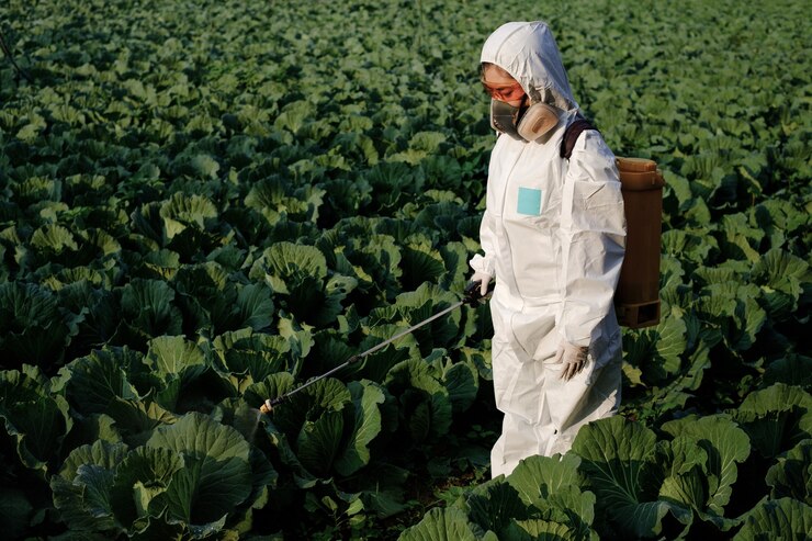 female-gardener-protective-suit-mask-spray-insecticide-chemistry-huge-cabbage-vegetable-plant_185126-350
