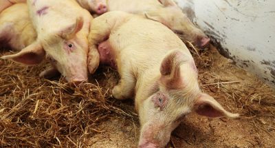 1597035899706_default