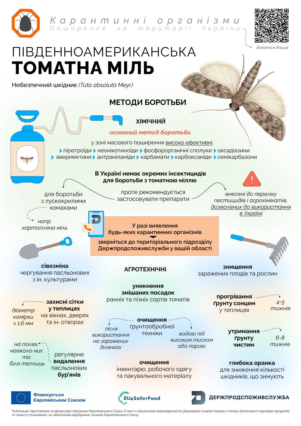 4_томатна міль_карантинні організми (1)