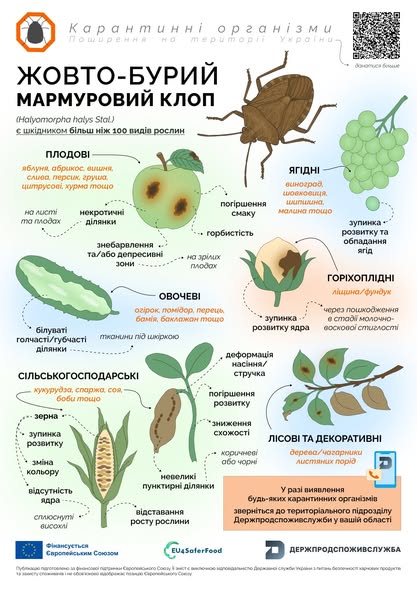 518975468_755100850386814_8825794548395794490_n