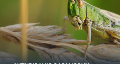 img_445d8240ae00cafb72e209faf655434f