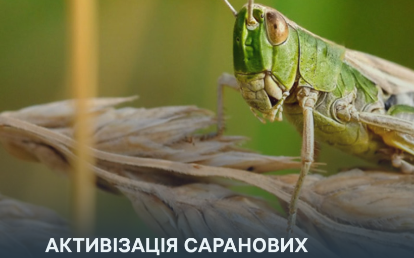 img_445d8240ae00cafb72e209faf655434f