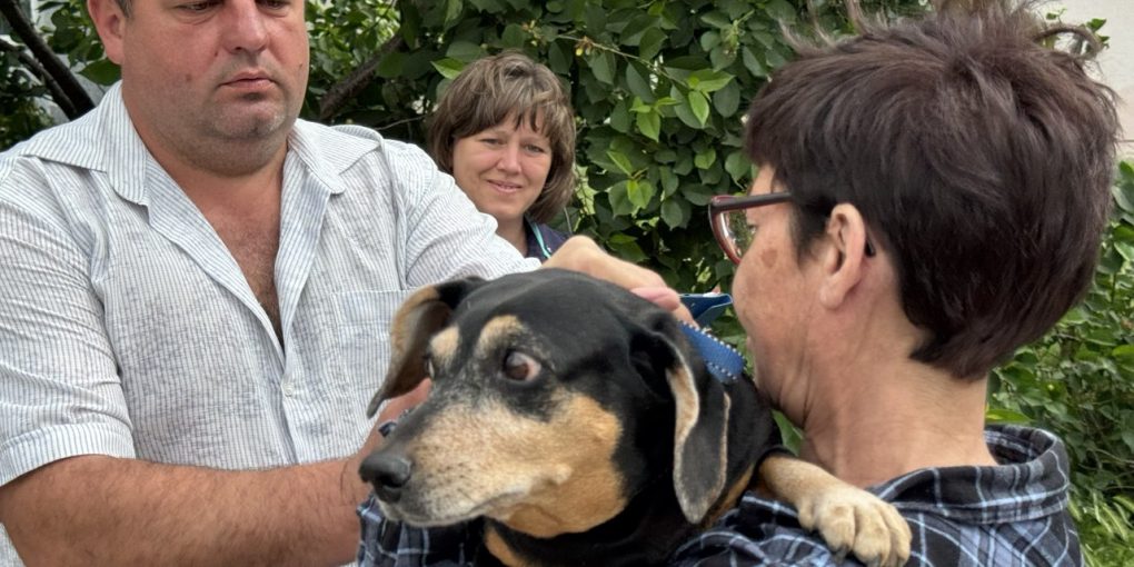 photo_2025-05-26_14-59-24