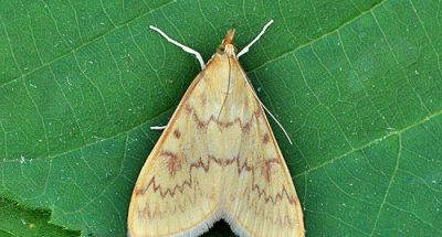 photo_2025-07-10_14-57-20