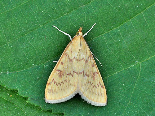 photo_2025-07-10_14-57-20