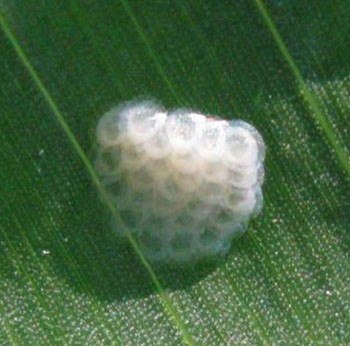 photo_2025-07-10_14-59-47