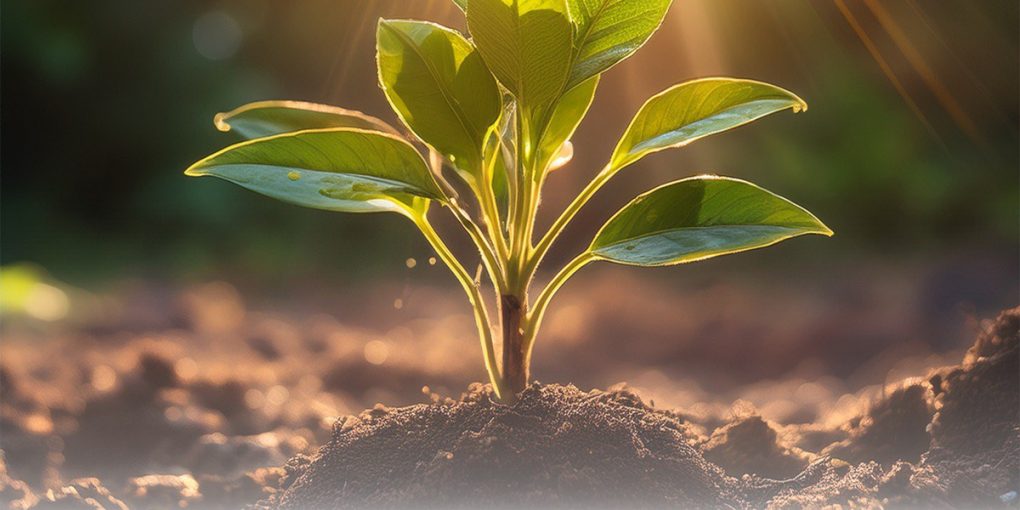 изображение_viber_2025-07-08_15-01-26-157