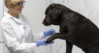 zensina-srednego-rosta-derzit-sobac-u-lapu