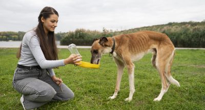 zensina-vid-sboku-daet-sobake-vodu