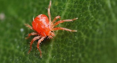 4b7364e05c387da30c086cde64f0761b