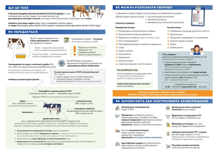 528042605_1140872124740076_1689775839921236493_n