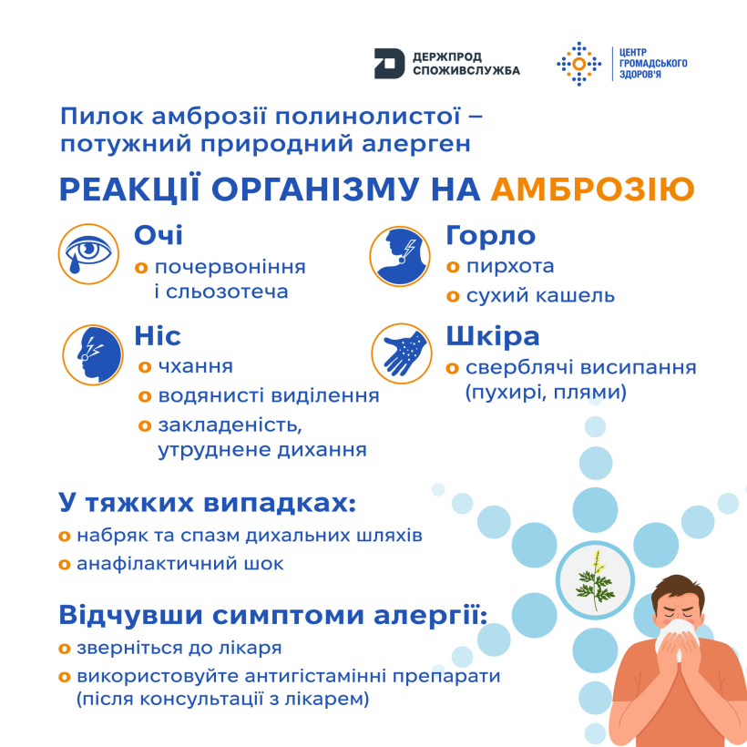 img_03bc1fffd37b6de4b829b882c7f46a9f