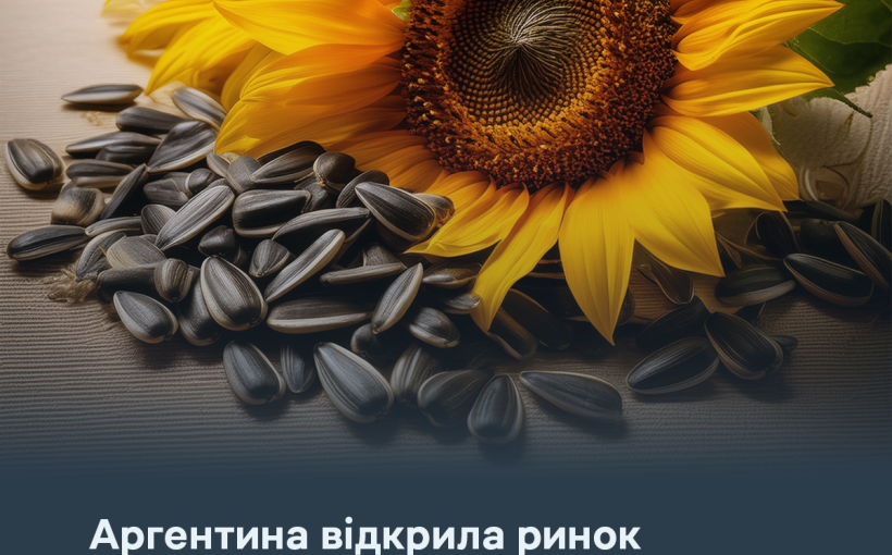 img_7fe88d54c12334ce933c4e1c5c165496