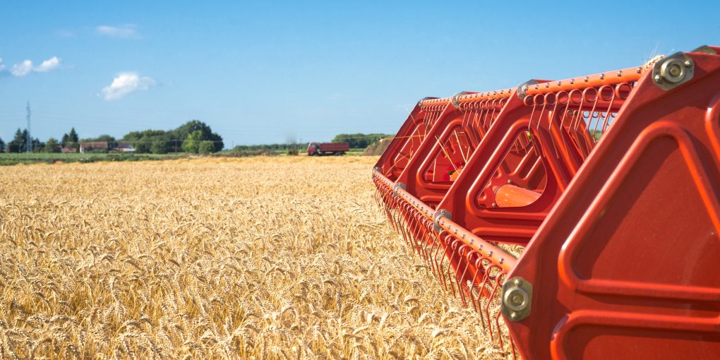 Combine harvesting wheat field.