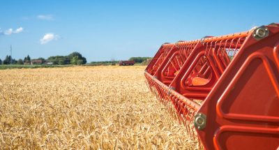 Combine harvesting wheat field.