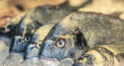 fresh fich on ice in a market, Greece
