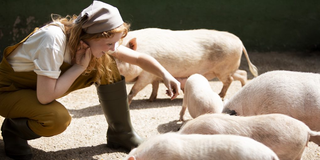 zensina-kormit-svinei