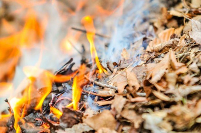 burning-fire-spalyuvannya-lystya-suhe-pozhezha-goryt-696x462
