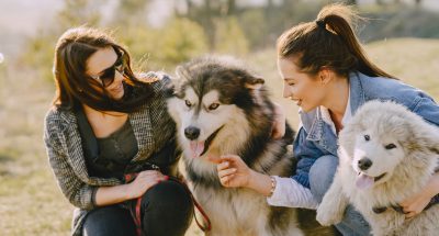 Women in a spring forest. Girls with cute dogs. Stylish friends walks.